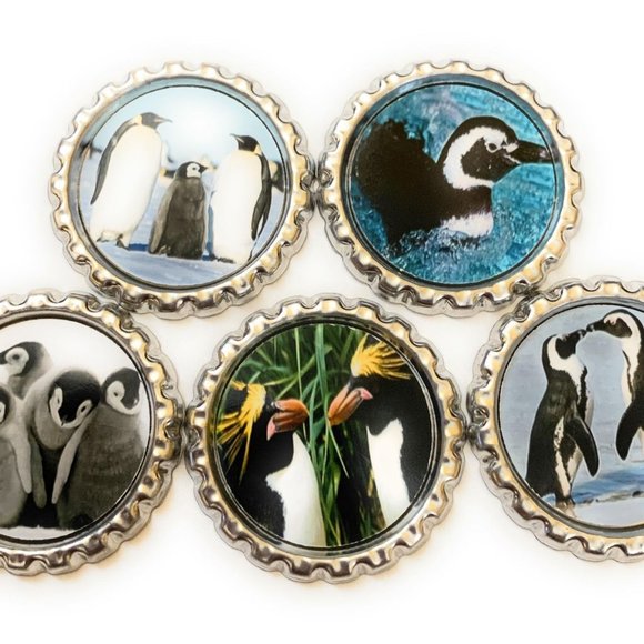 Penguins Maget Set - Picture 1 of 1